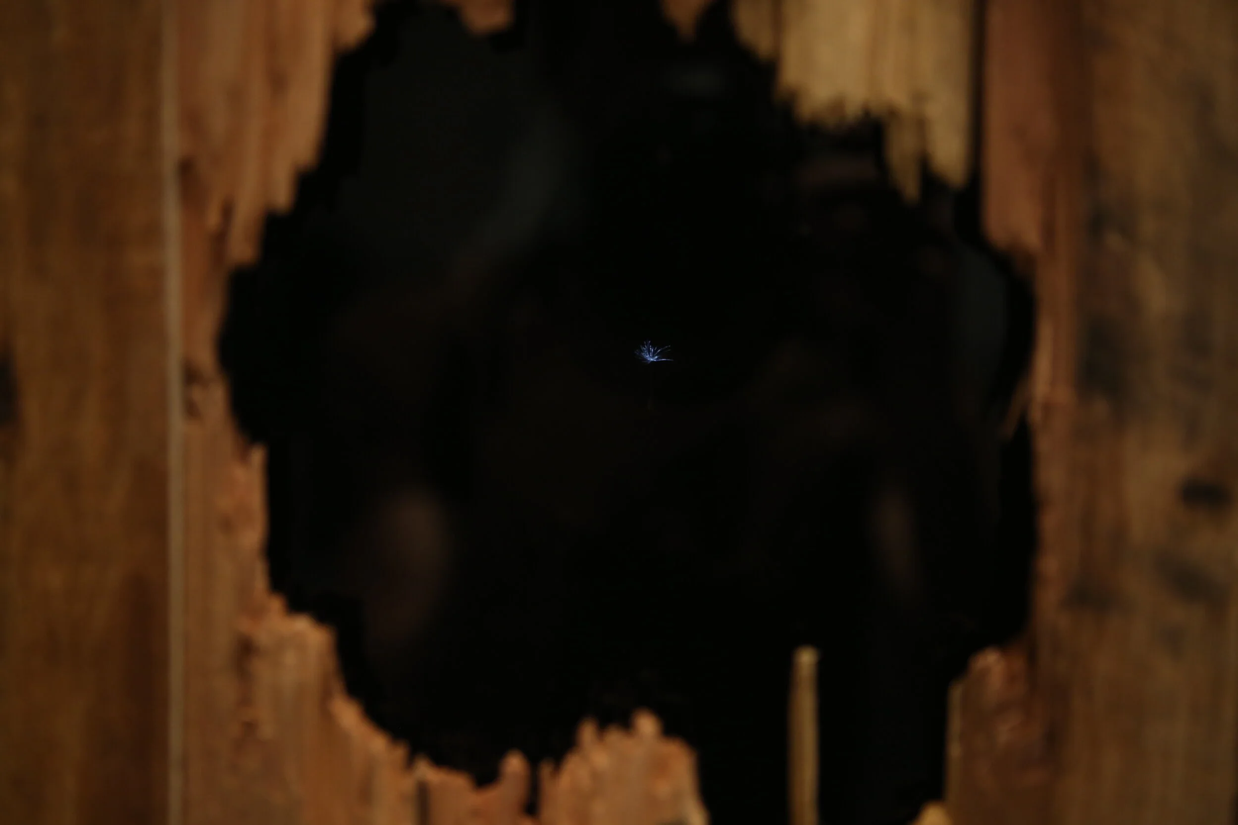 Copy of DP0A5671.JPG