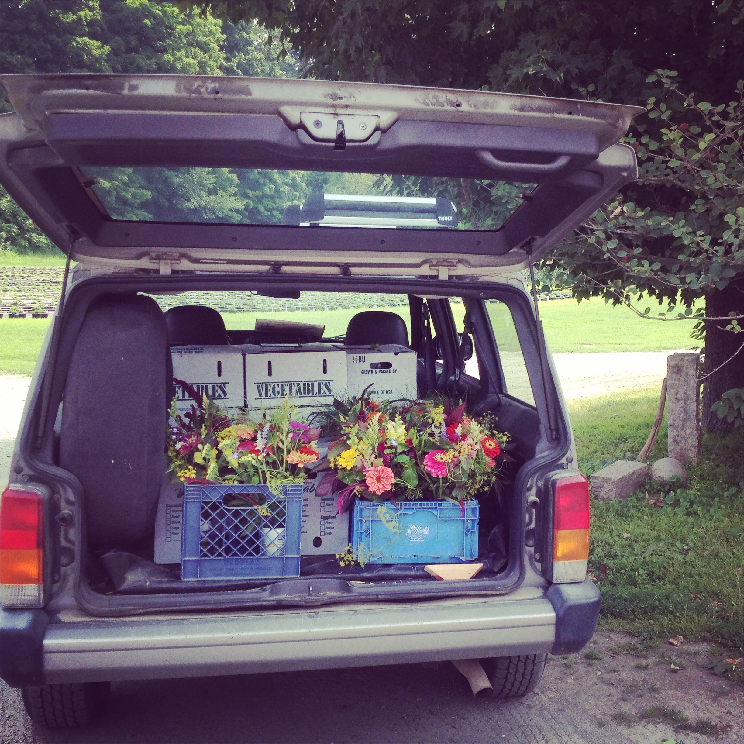 Csa Shop Edgewater Farm