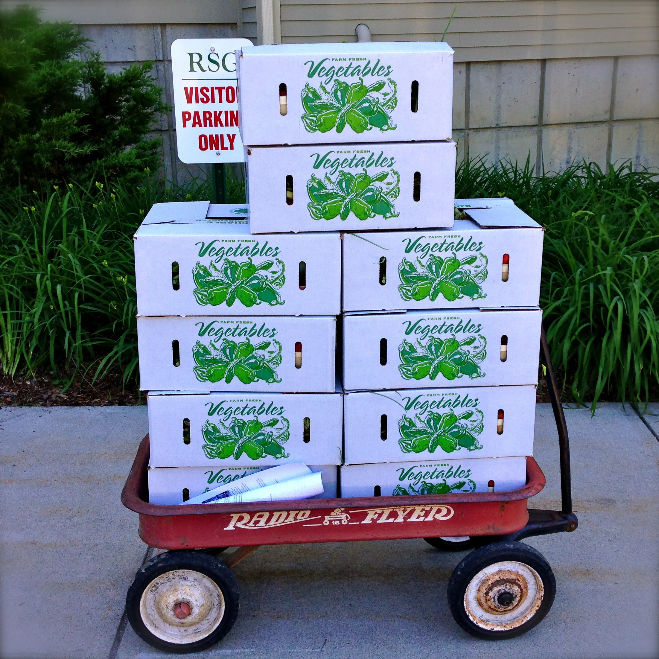 1st CSA day of the Harvest Season!