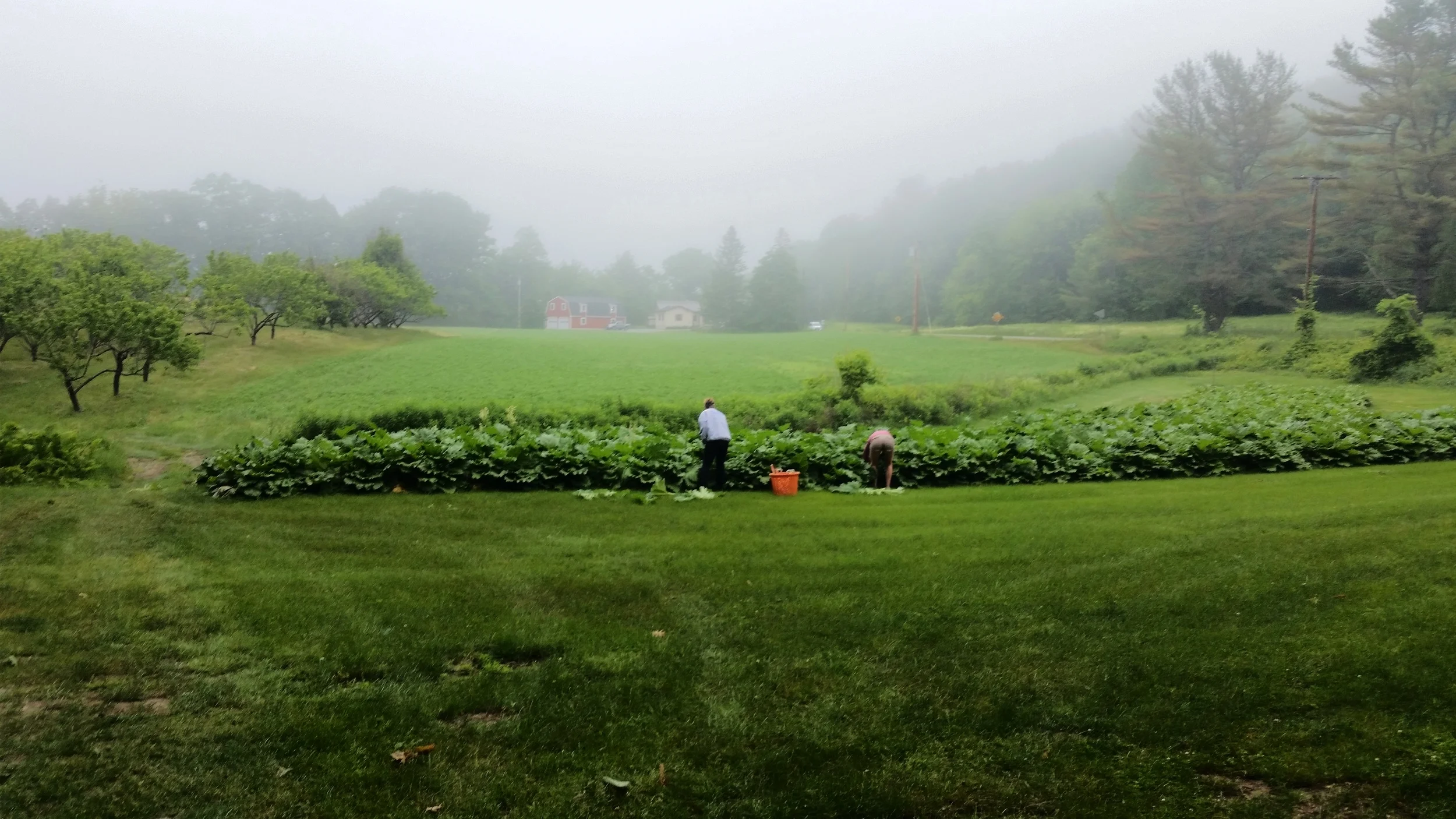 20160611_074419.jpg