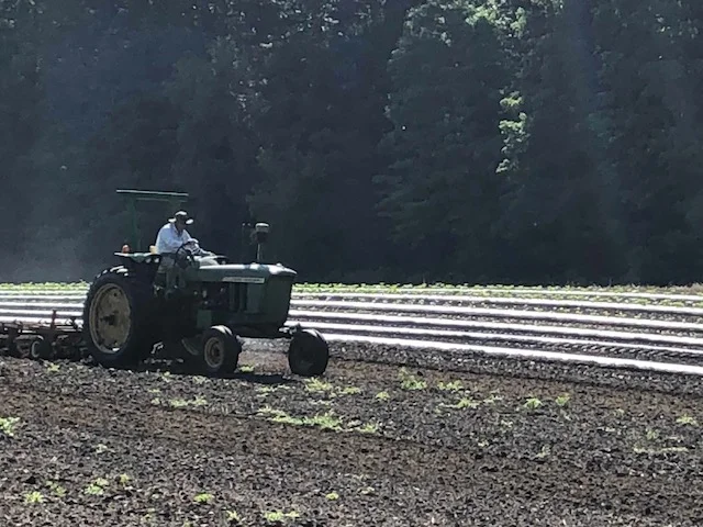 our most beloved tractor driver, George