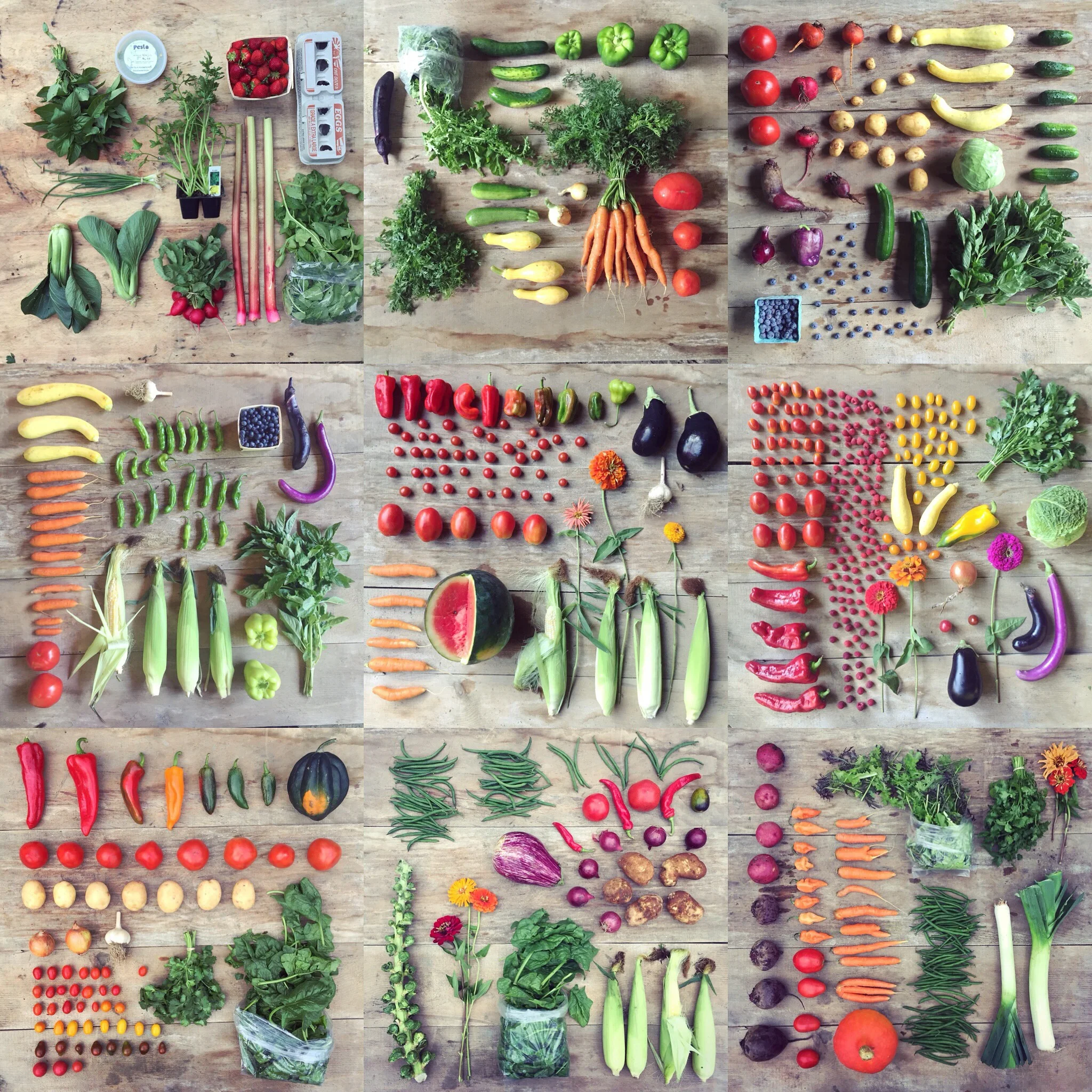 Csa Shop Edgewater Farm