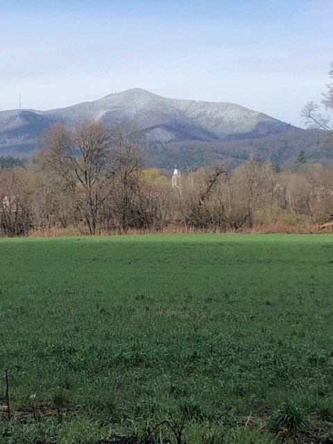 The Farm and Virus- Version 3.0  5/1/2020