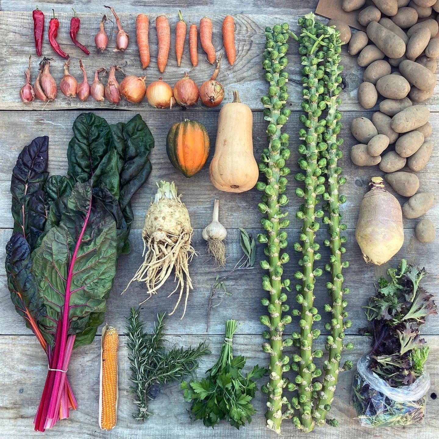 60A3DA7C-2F9C-4C26-81DD-F914774A90D1 2.JPG