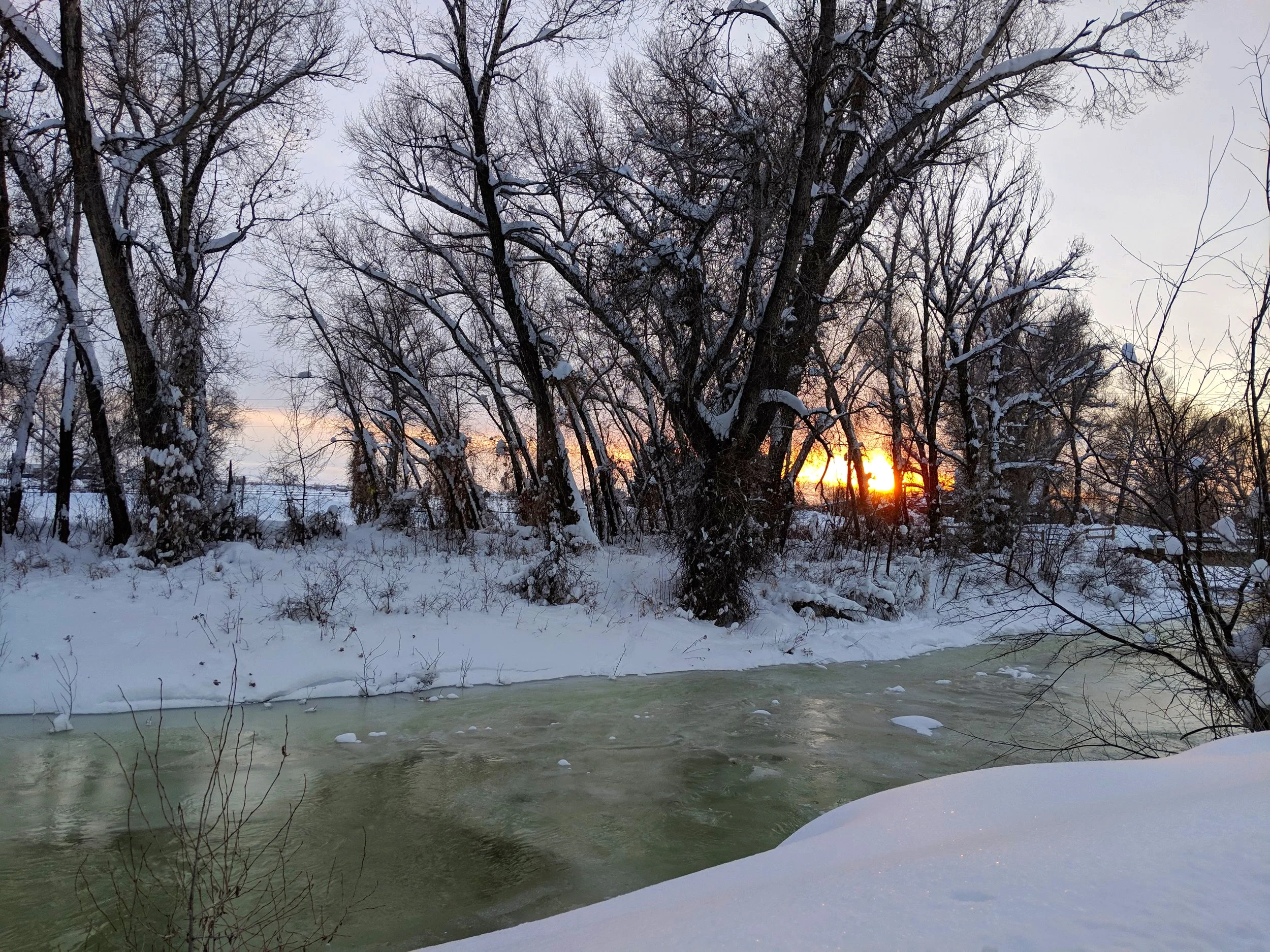 East Gallatin River near Spain Bridge (Approx 4 miles north of Bozeman)