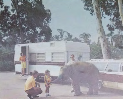 1970 Terry Travel Trailer