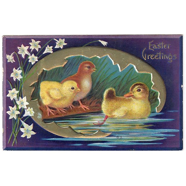 Easter Greetings! from Jennette to Winifred in 1911 (&amp; Dad and me in 2018)⠀
.⠀
Postcard by E. Nash.⠀
.⠀
#graphicdesign #easter #familyhistory #ancestry #vintagepostcard #design #lithograph #embossedpostcard #sharingthepast