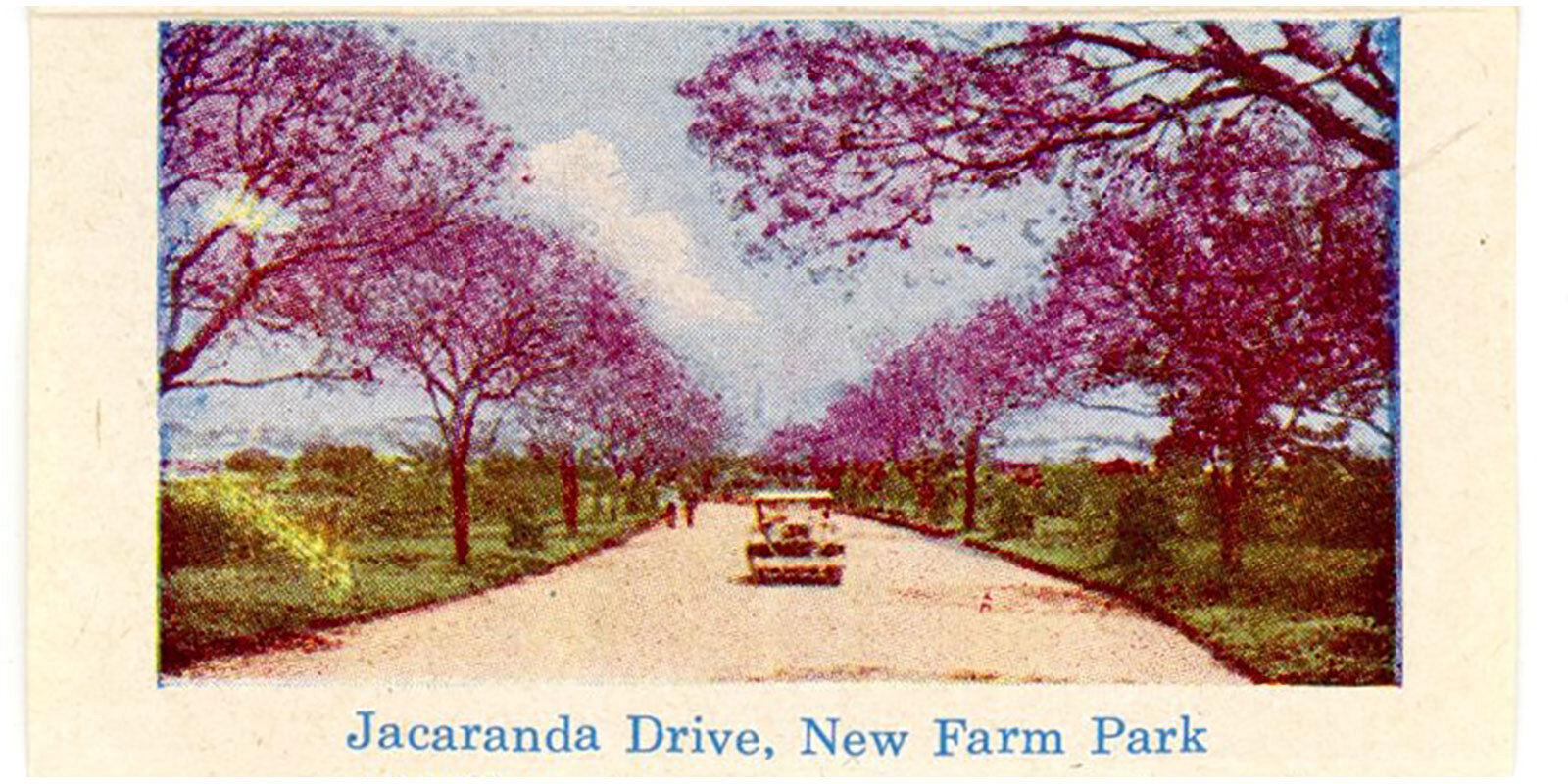 1940s Jacaranda Drive New Farm Park Brisbane