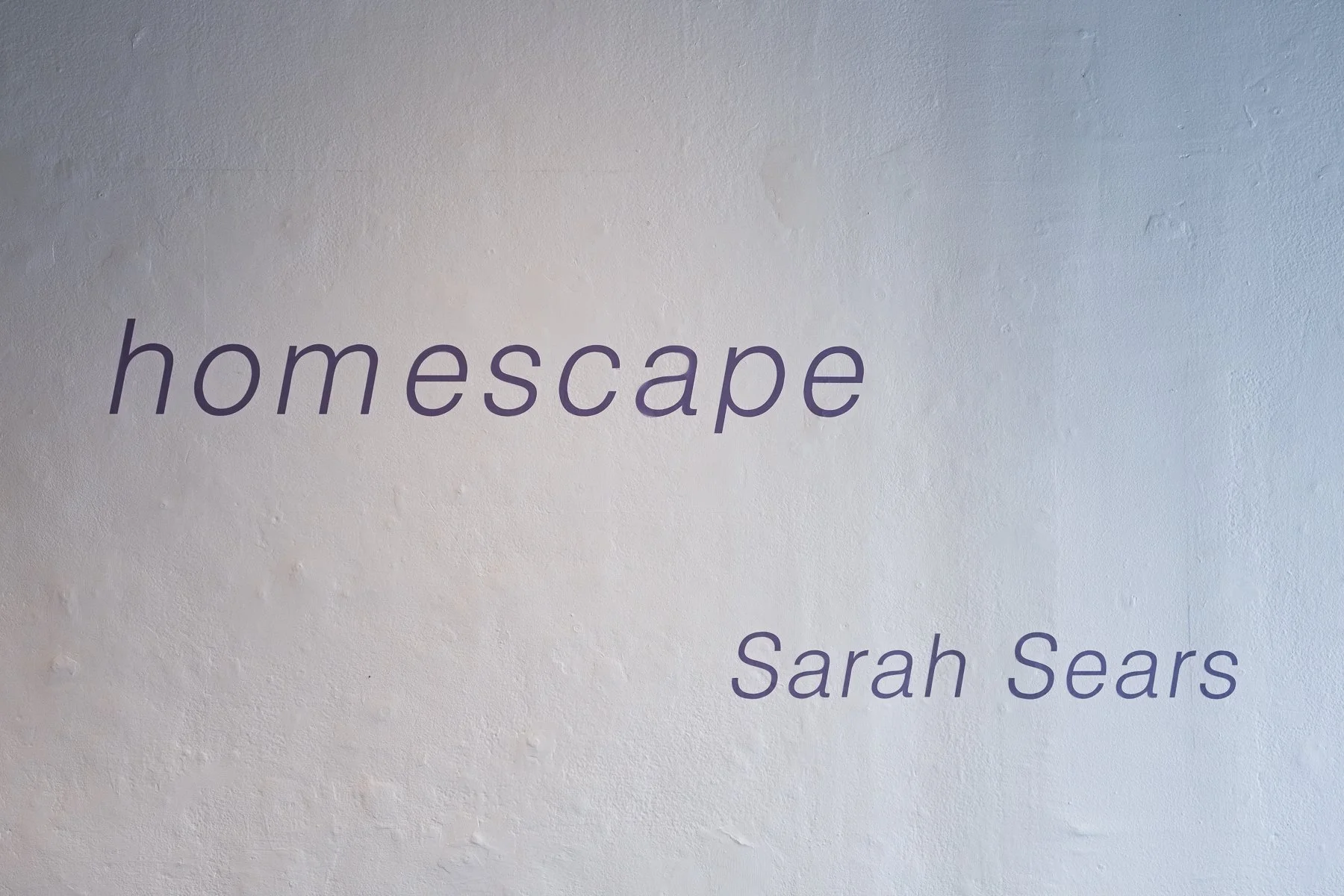 SarahSears_homescape_-10.jpg