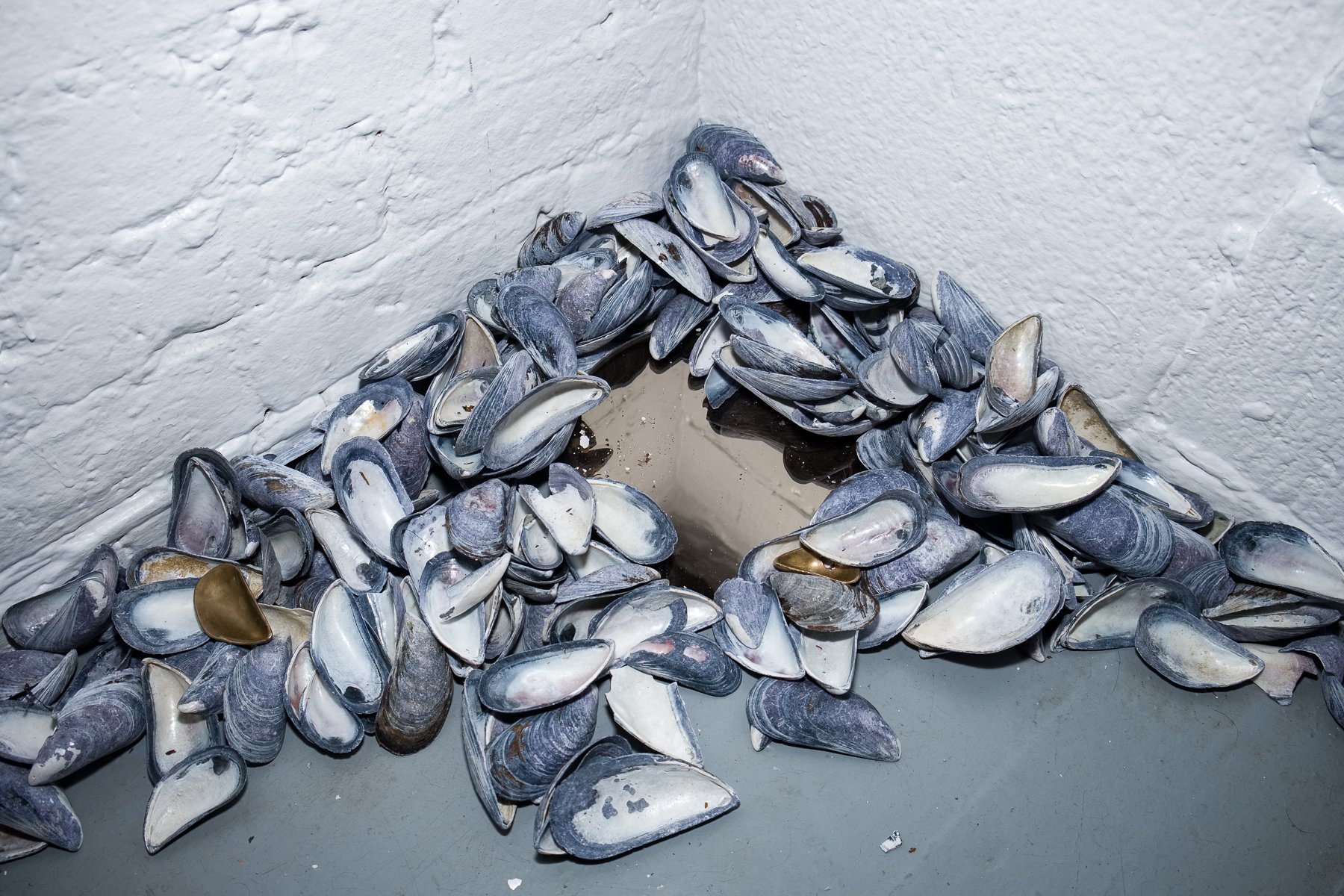  photo by Neil Kehler 