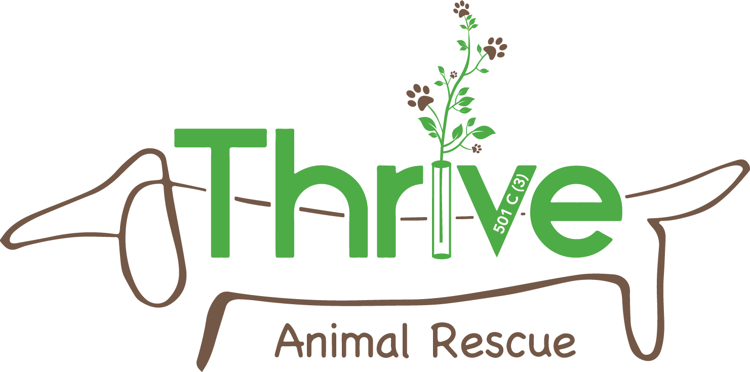 Thrive Animal Rescue