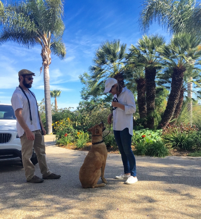 Cece Bloum working with Lucky and local dog trainer, Randy Davis of Better By The Pound