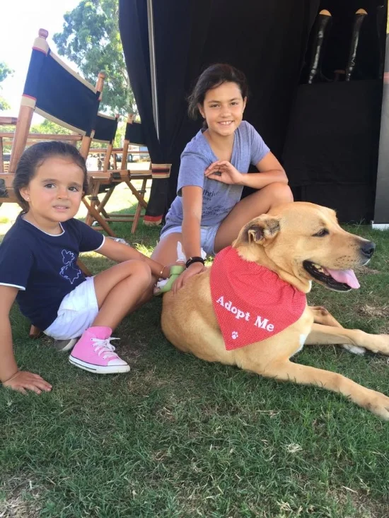 Two of our littlest fosters, pictured here with Sadie. Sadie was rescued from a high-kill shelter in the Los Angeles area. She is now in a wonderful forever home. Fostering saves lives.