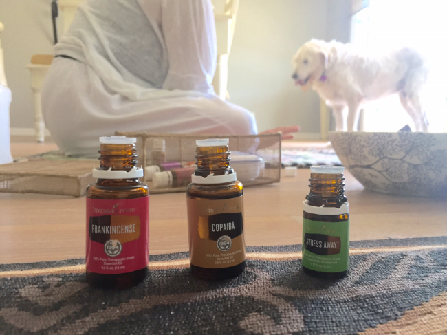 Stress Away, Copaiba, and Frankincense- the perfect oils for Mrs. Wags.