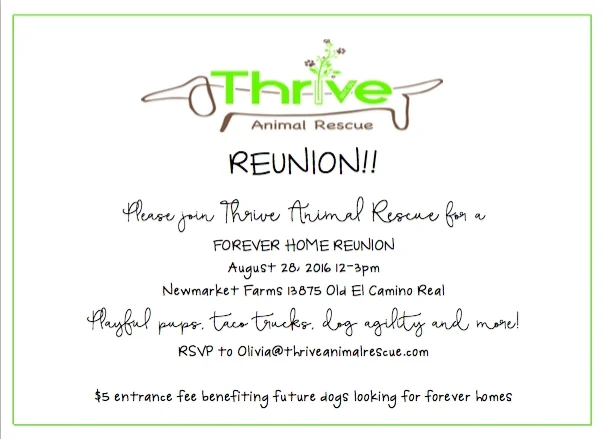 August 28 from 12:00-3:00- 13875 Old El Camino Real San Diego, Ca. 92130