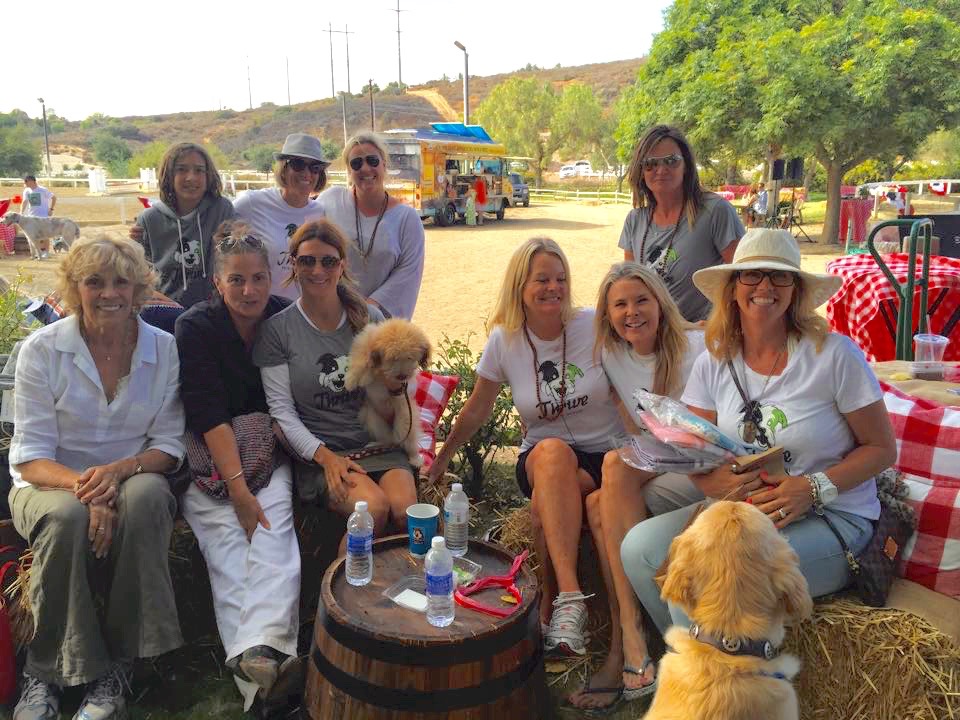 Please bring your dog and join us for an afternoon of adoptable dogs, tacos, agility training and more!