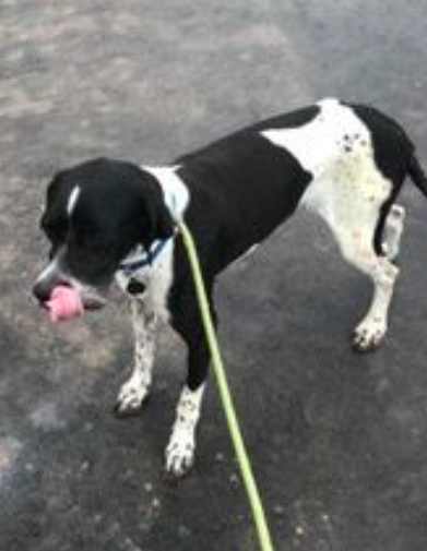 JR