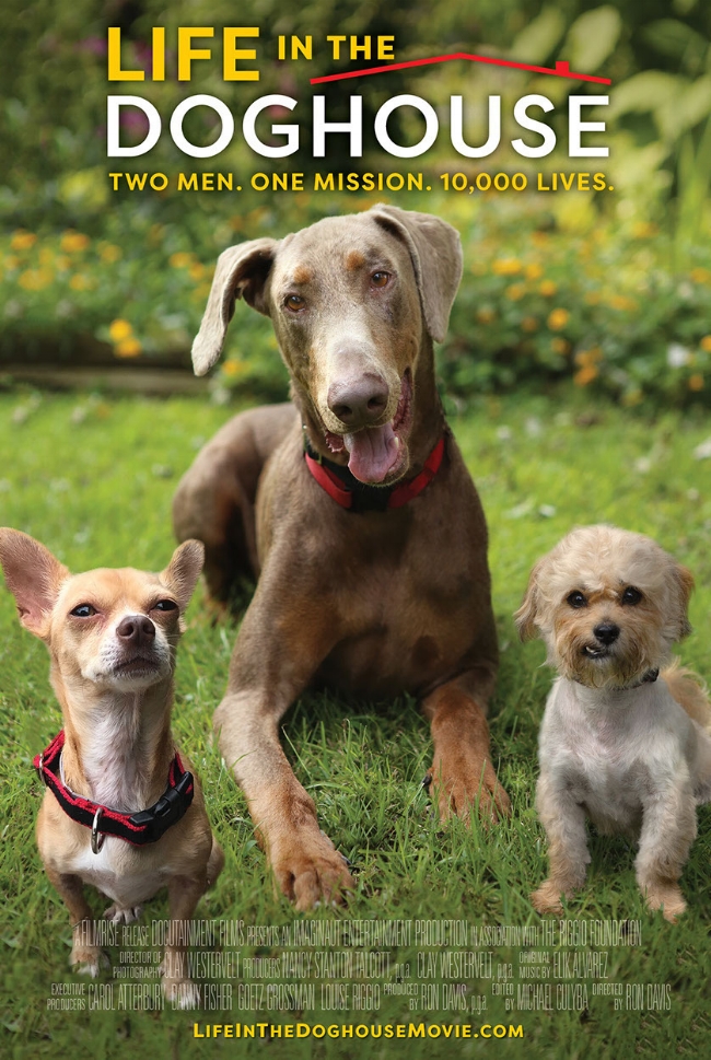 life-in-the-doghouse-poster-27-x-40---31-crop-u94_2x-2.jpeg