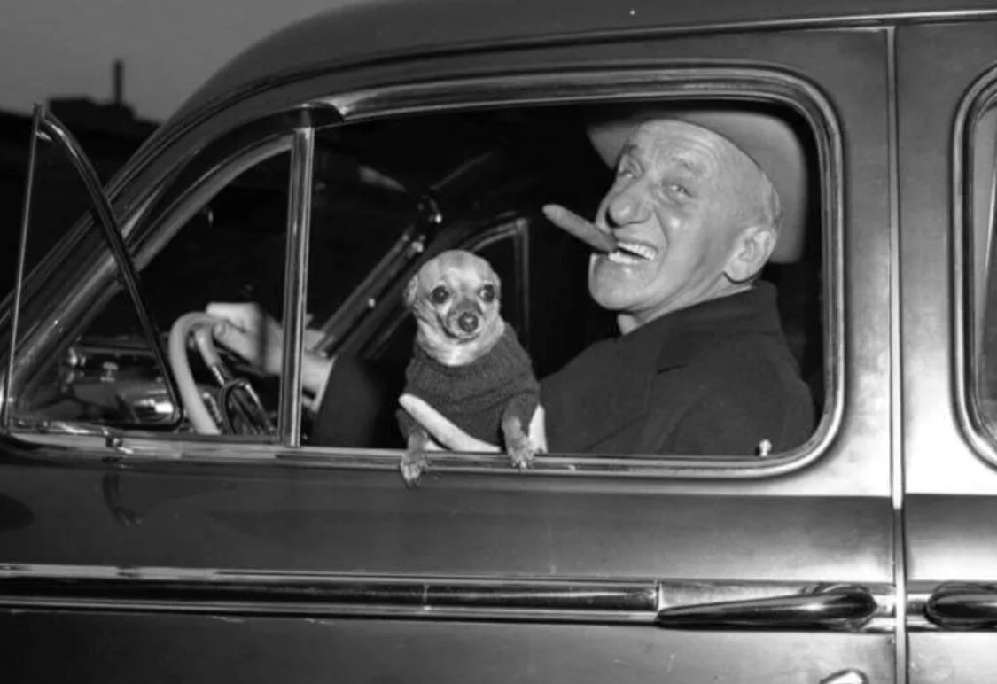 Donate An Unwanted Car - Save An Unwanted Dog
