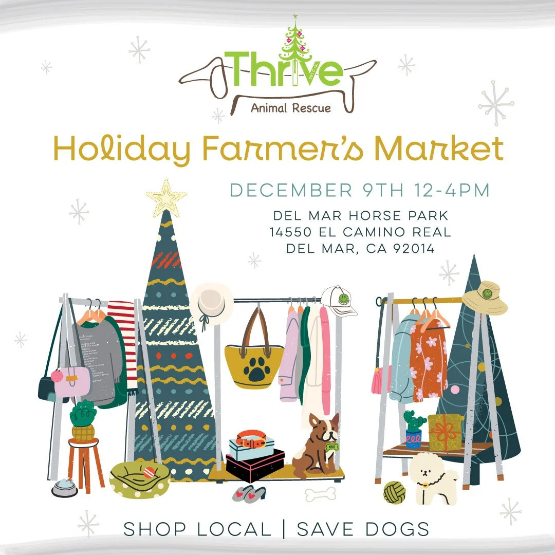 Holiday Farmers Market