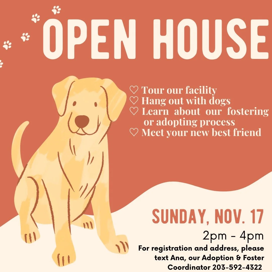 Open House November 17th