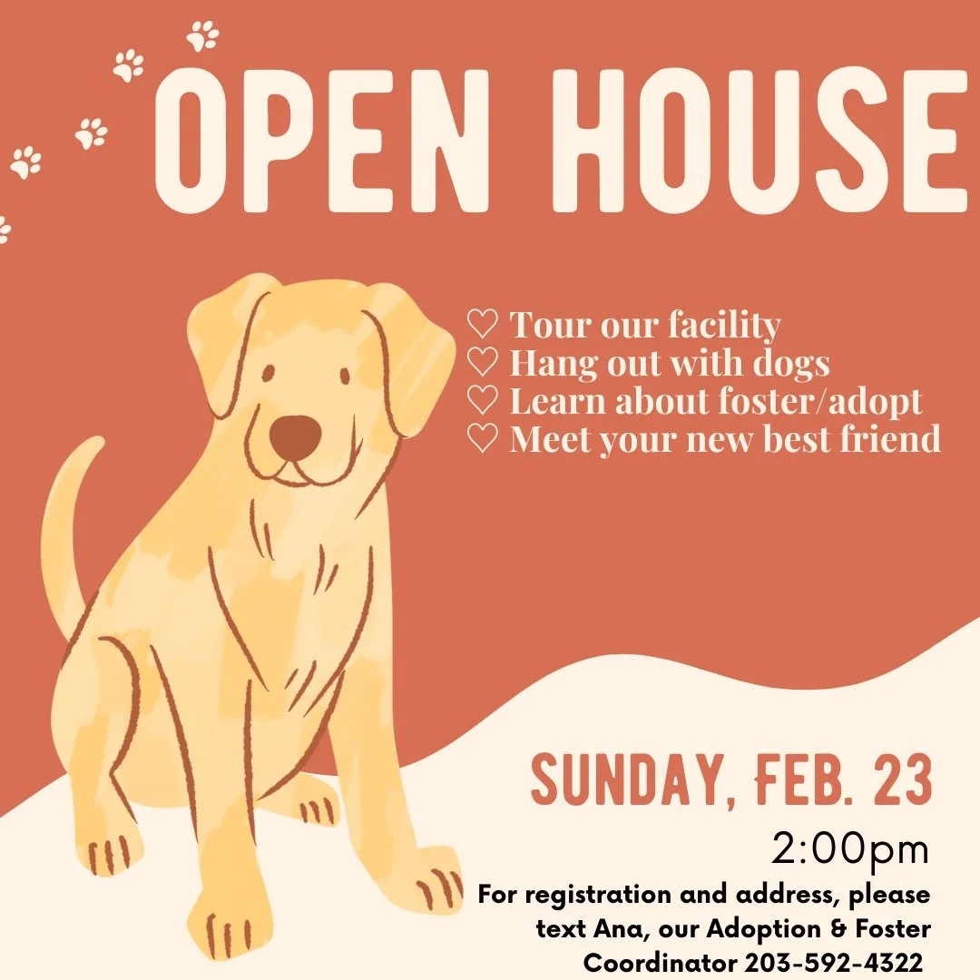 Open House Adoption Event