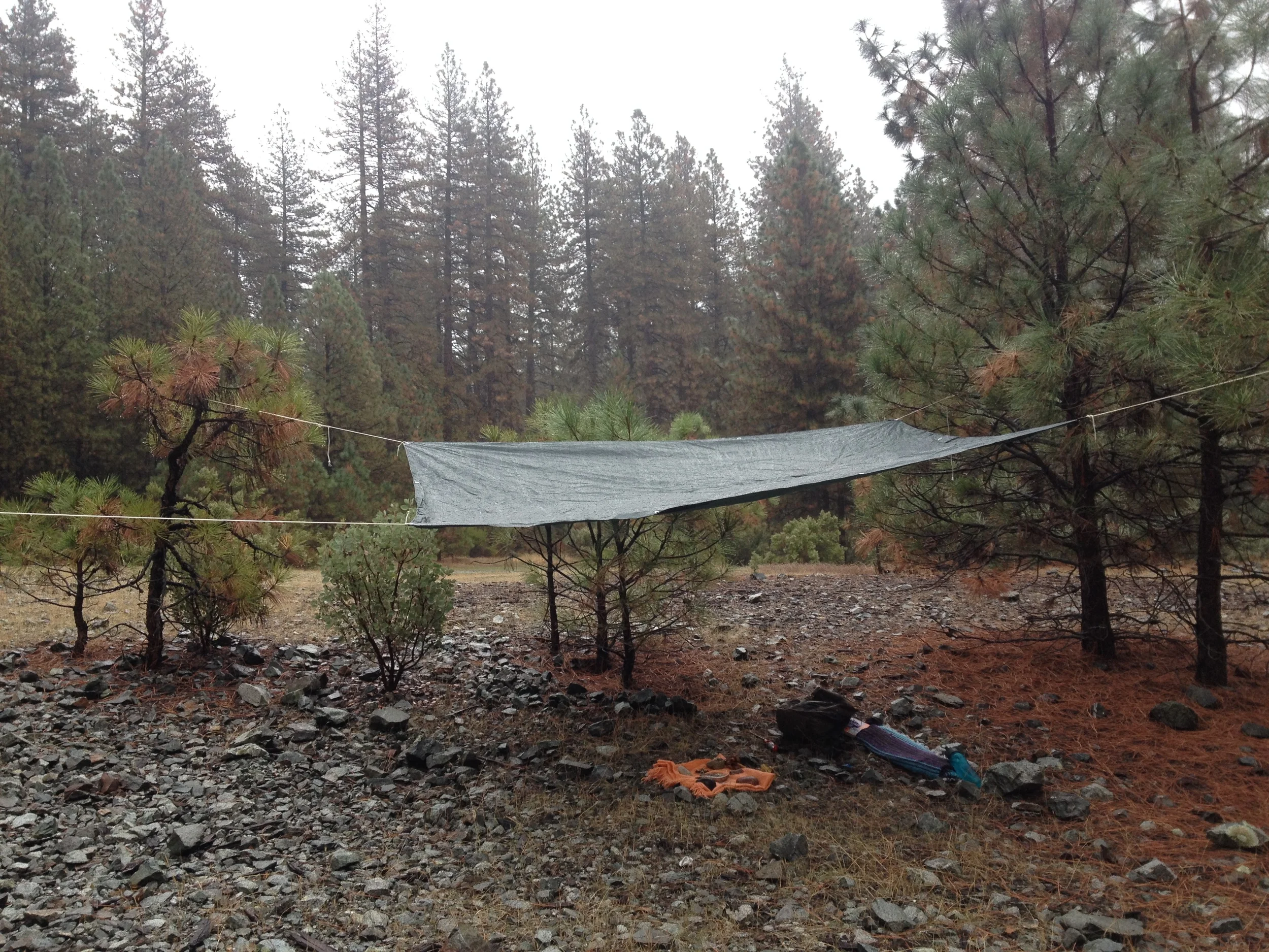 Awaiting the arrival of my community, I create what will shelter us from the storm yet invite in contact with the elements.