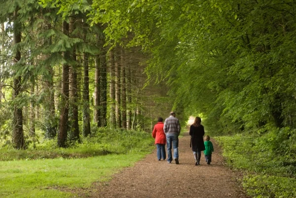 Family-Walking-in-Woods.jpg