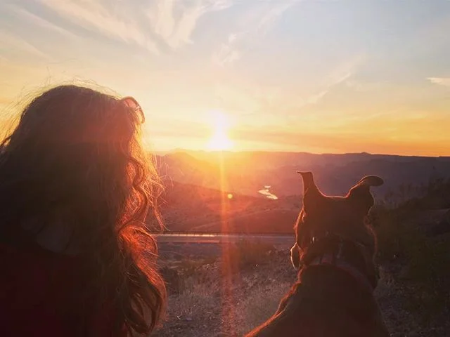 Nothing better than a scenic view desert sunset with my best friend, love road trip fun! #sunset #dogbestfriend #desert #roadtrip #earth #nature #oakscounsel