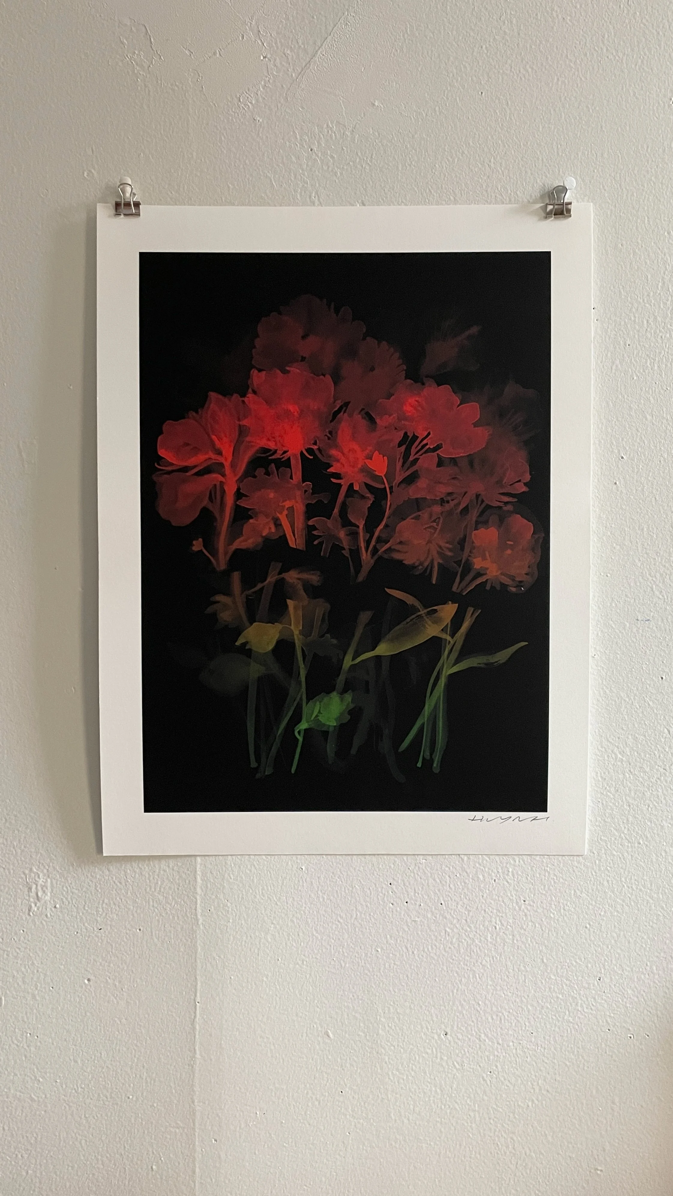 Cut Flowers - Print
