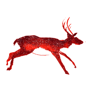 matt-huynh-deer-2017.gif