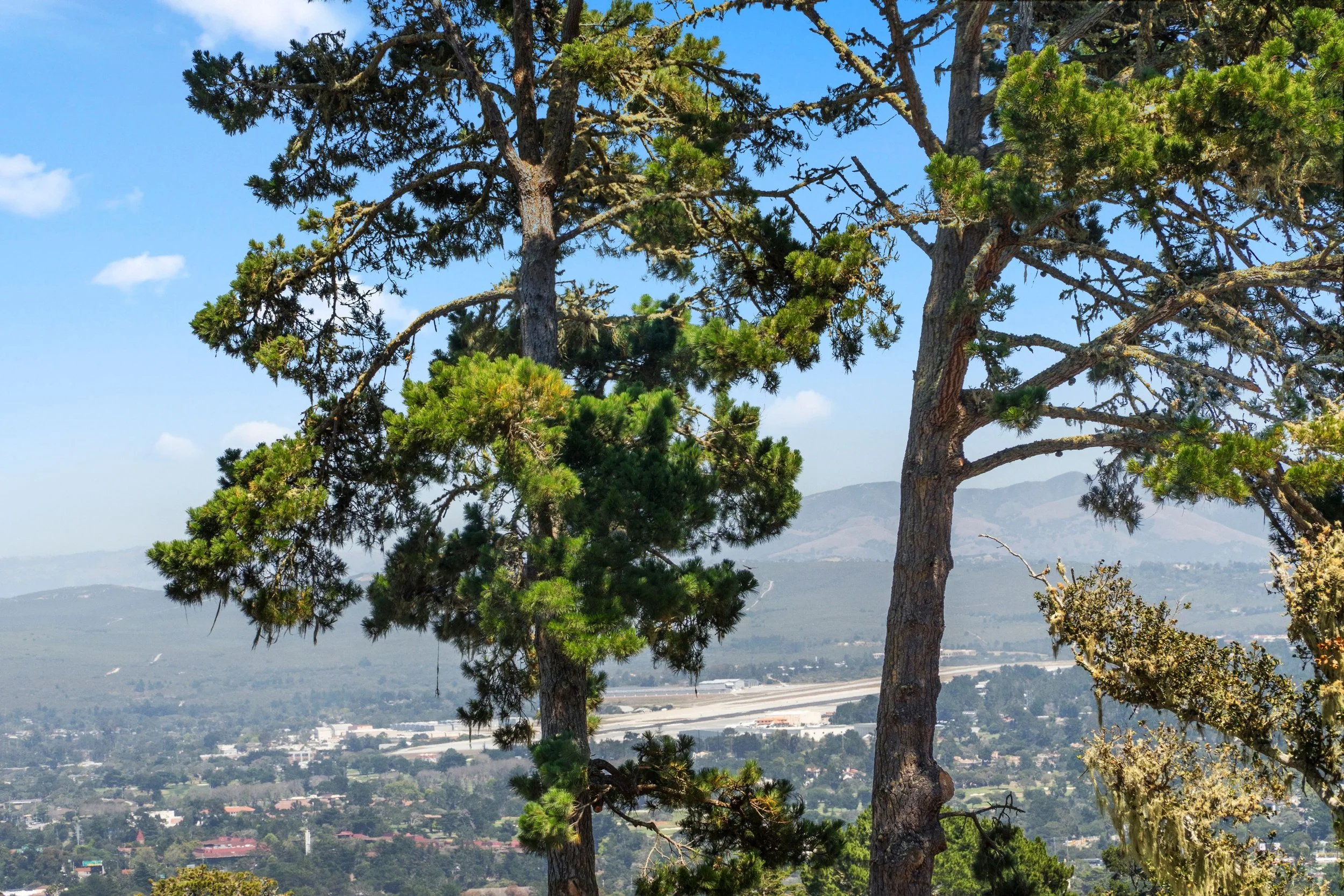 791 Toyon Dr - B2N33T(29).jpg