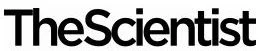 316682_thescientistlogo.jpg