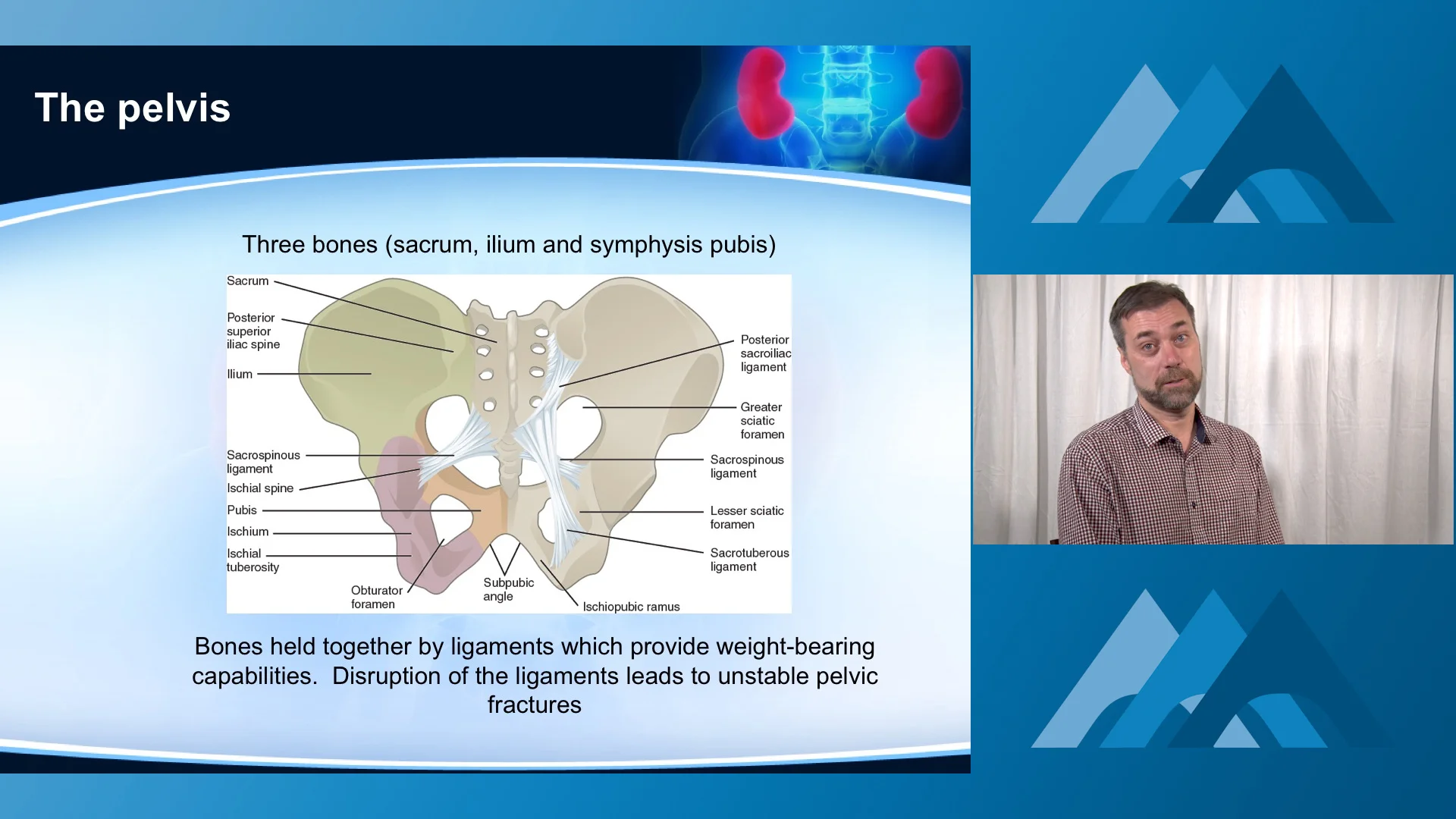Trunk_Pelvic&GenitalUrinary.00_02_05_26.Still001.jpg