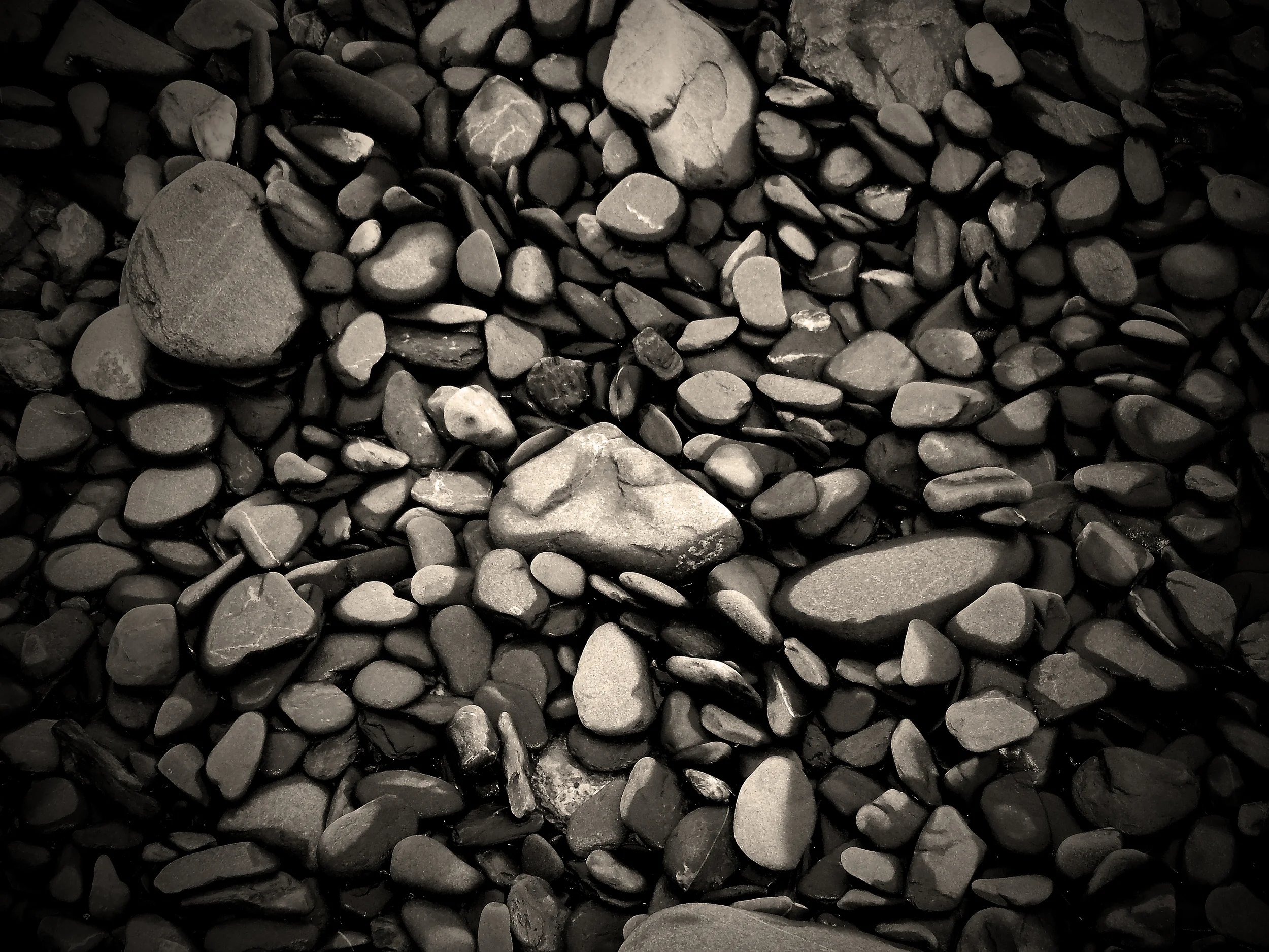 © Brendan Smith Photography