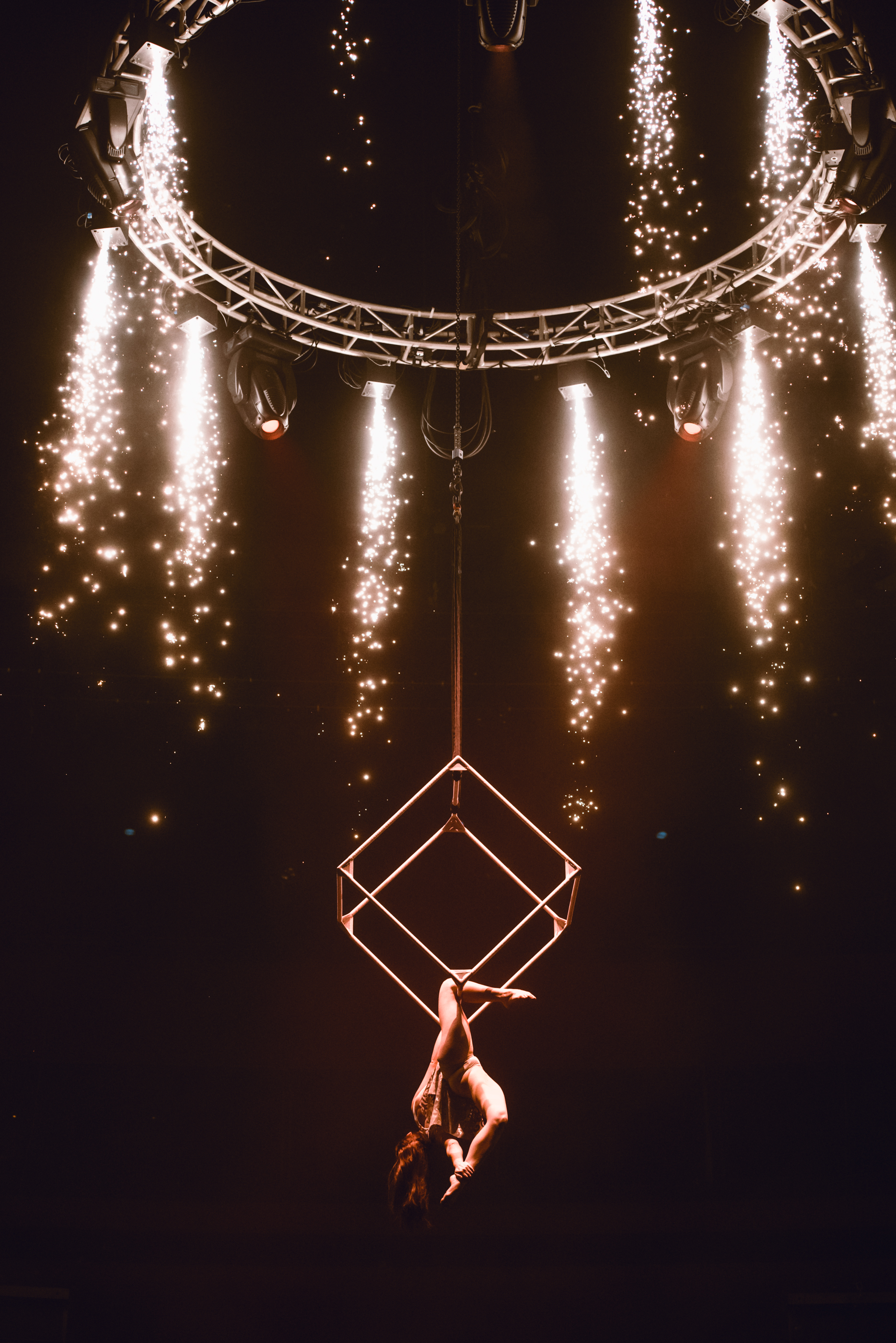 The Grand Finale.jpg