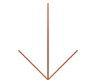 yag_2019_arrow.png