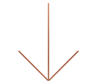 yag_2019_arrow.png