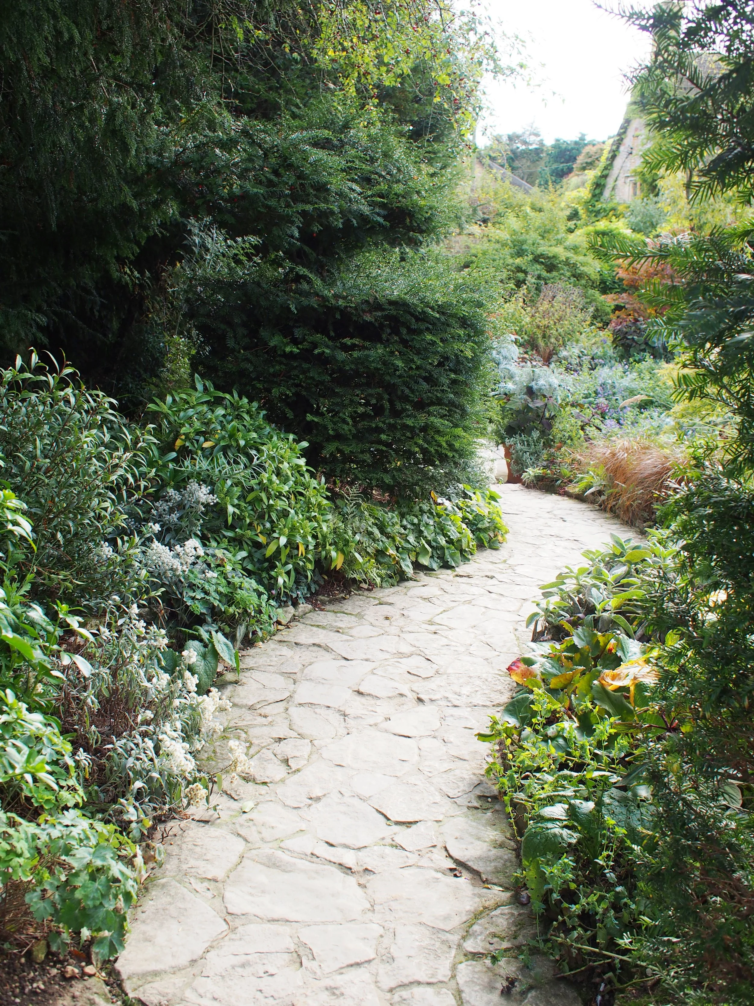 PA050110.JPG