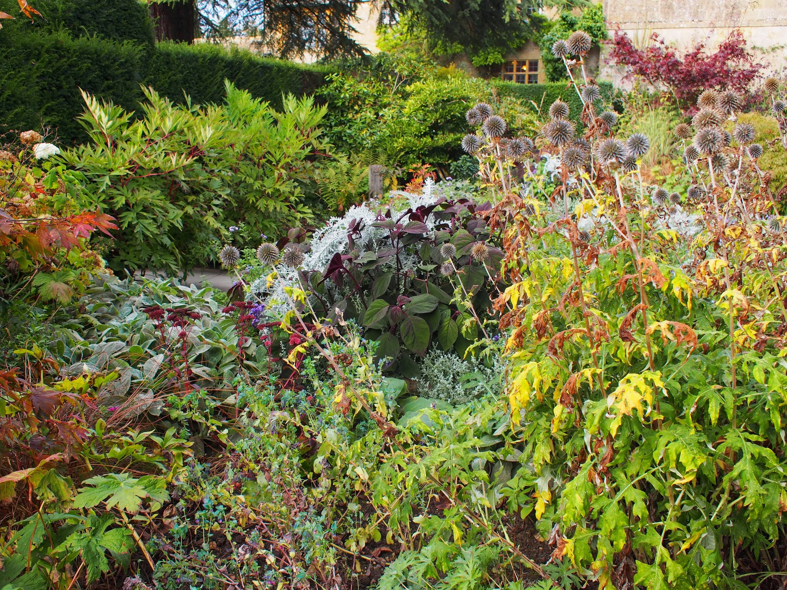 PA050115.JPG