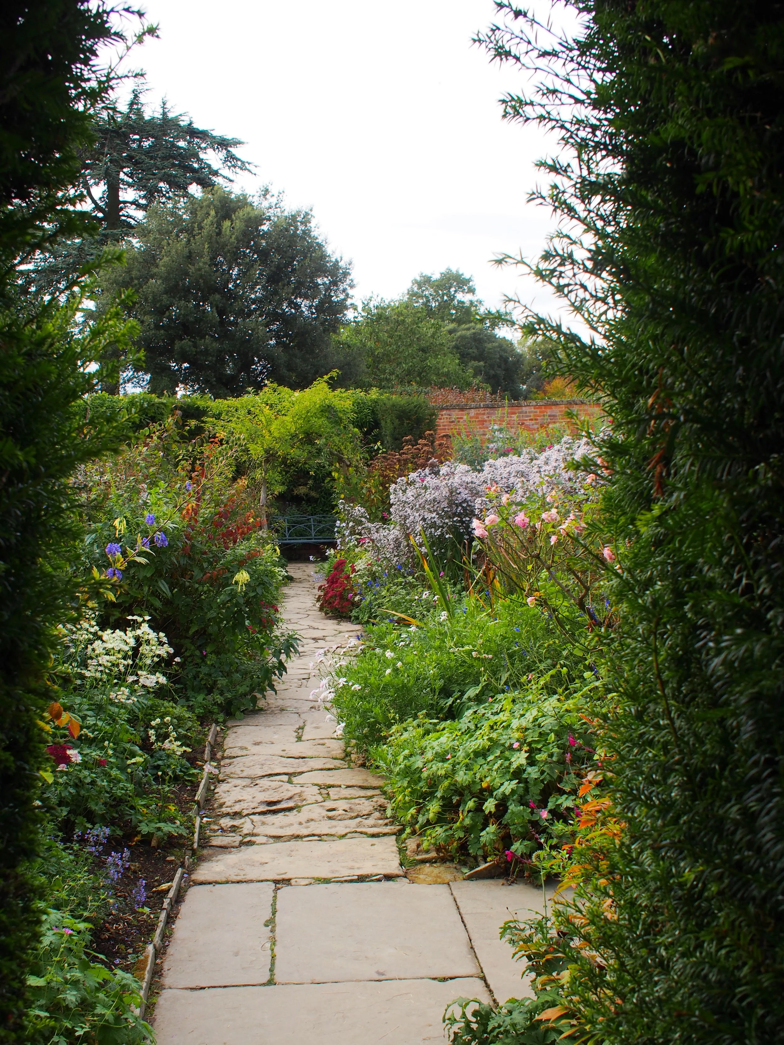PA050119.JPG