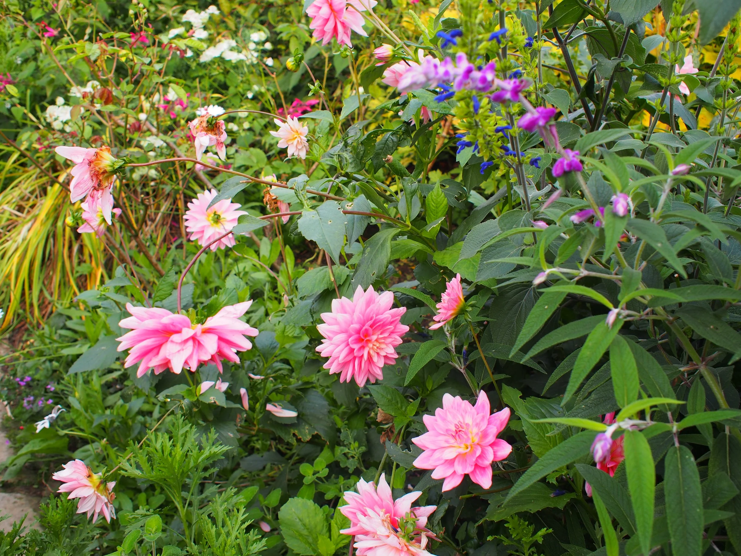 PA050124.JPG