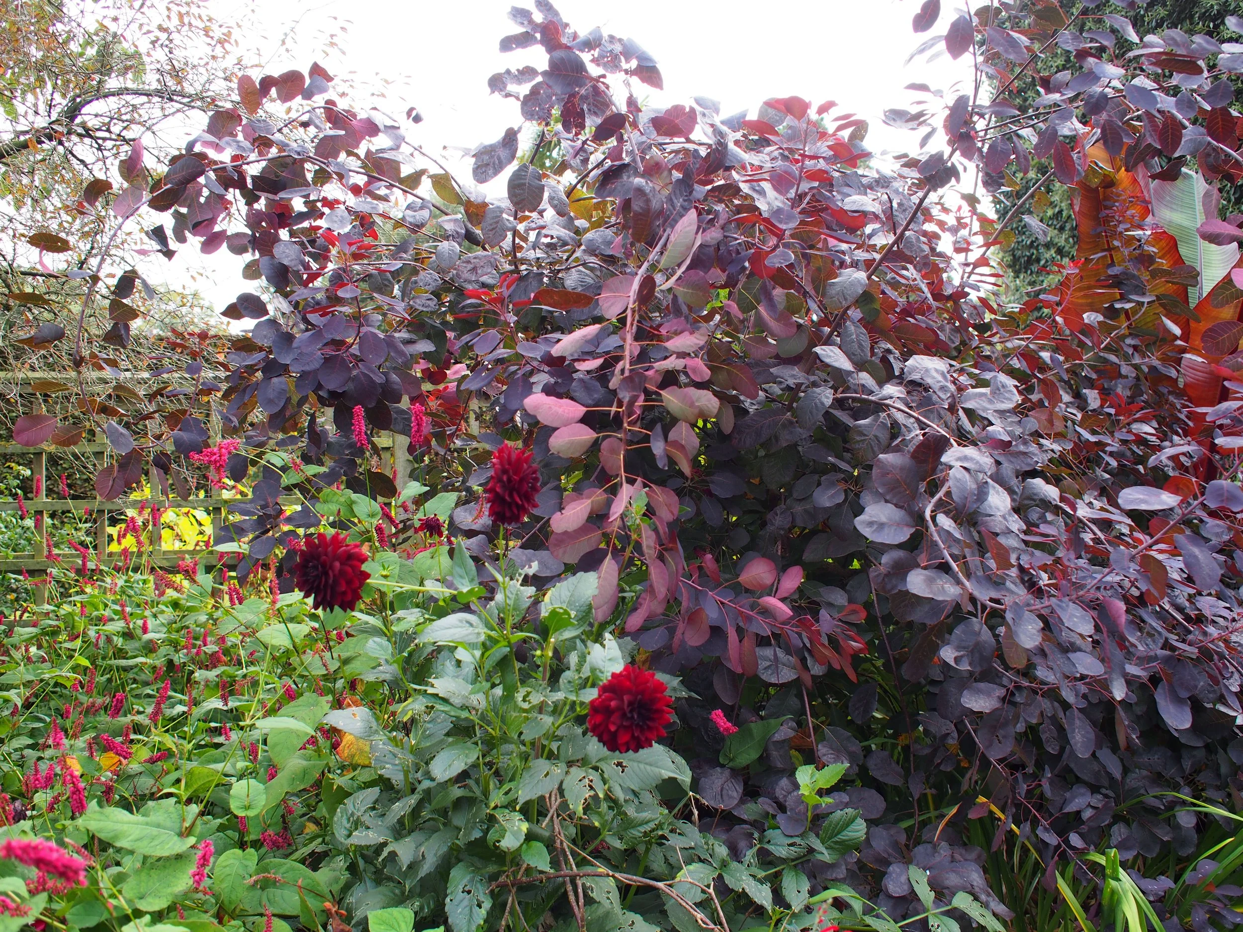 PA050138.JPG