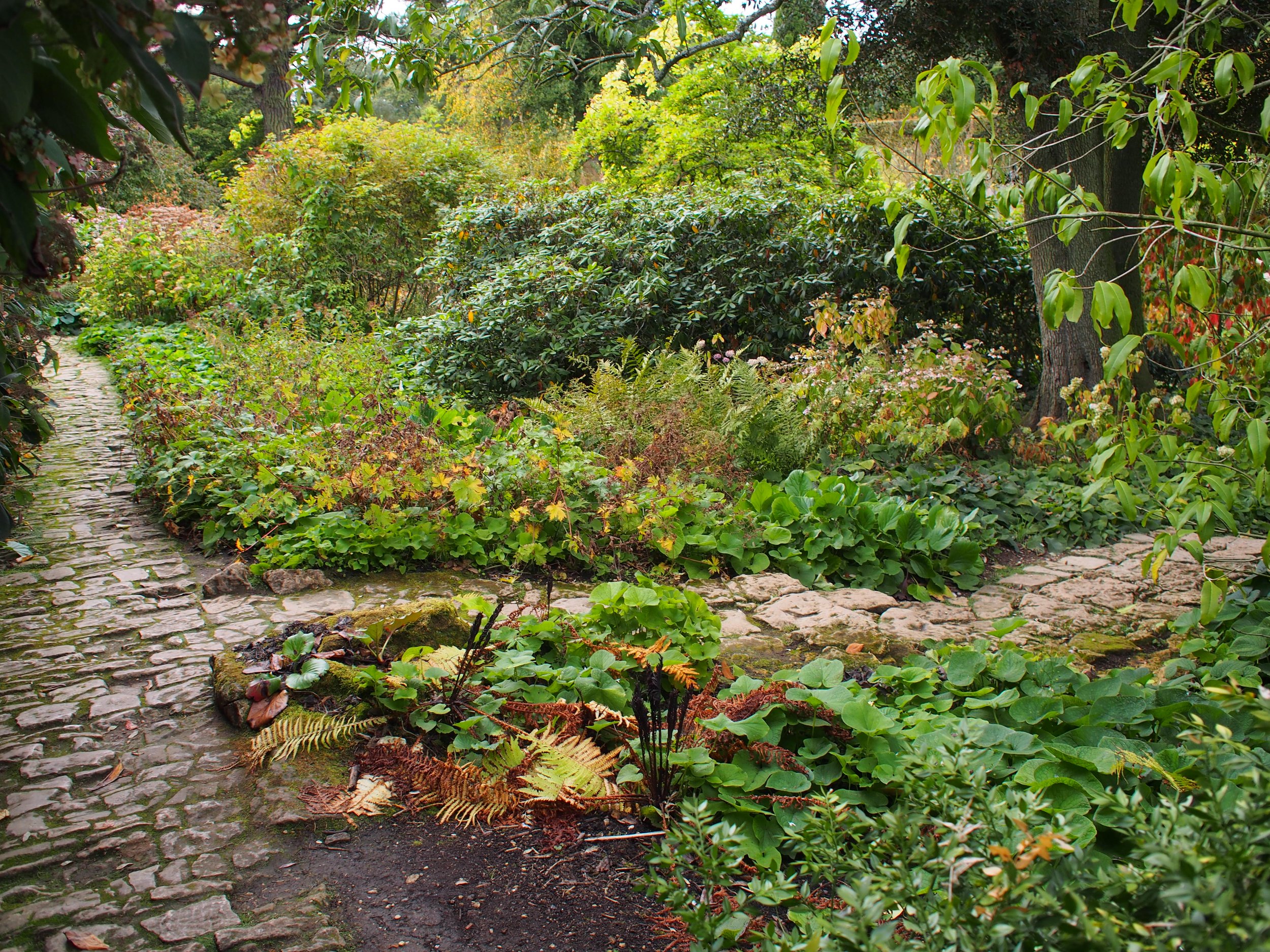 PA050161.JPG