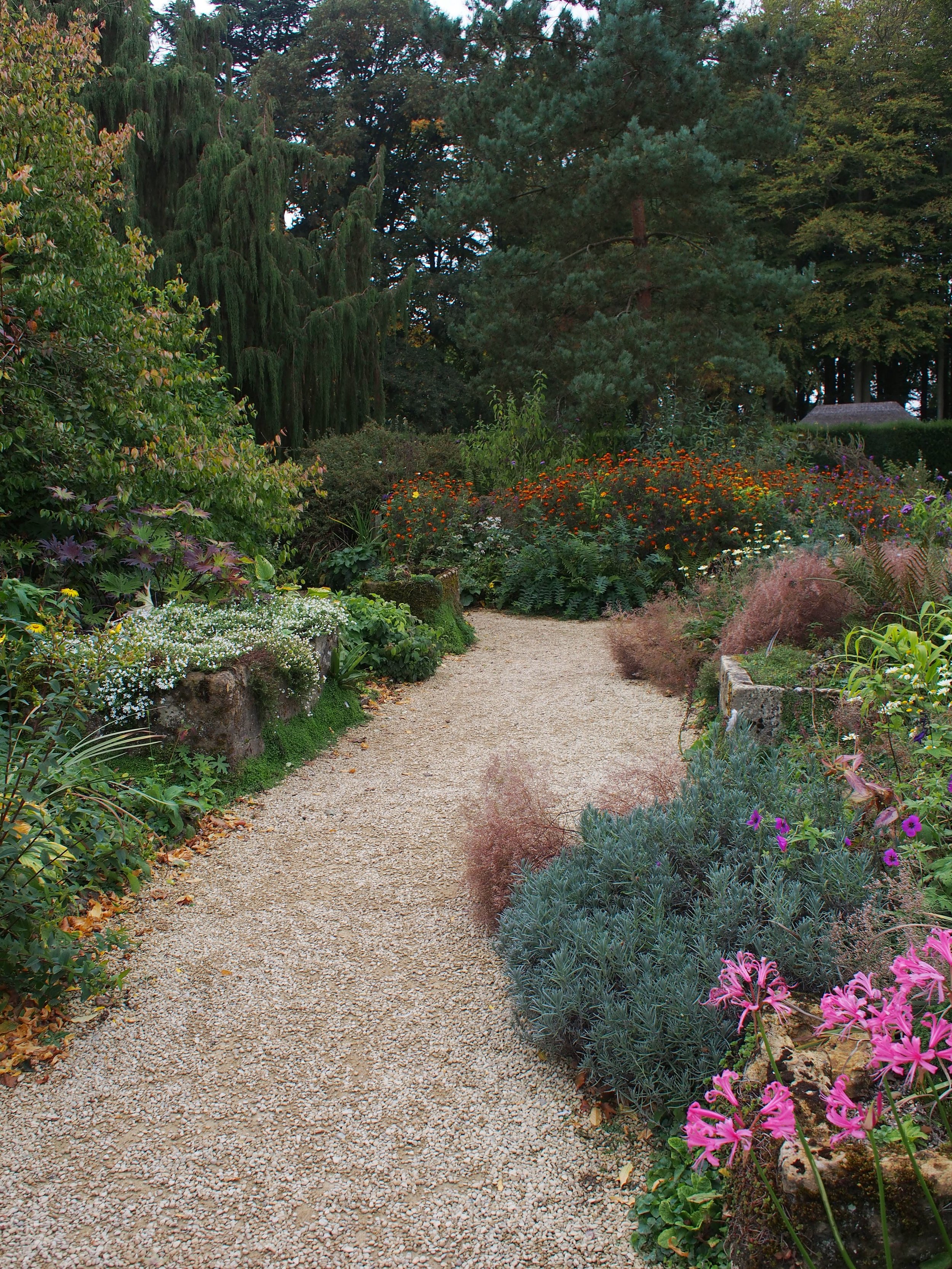 PA050176.JPG
