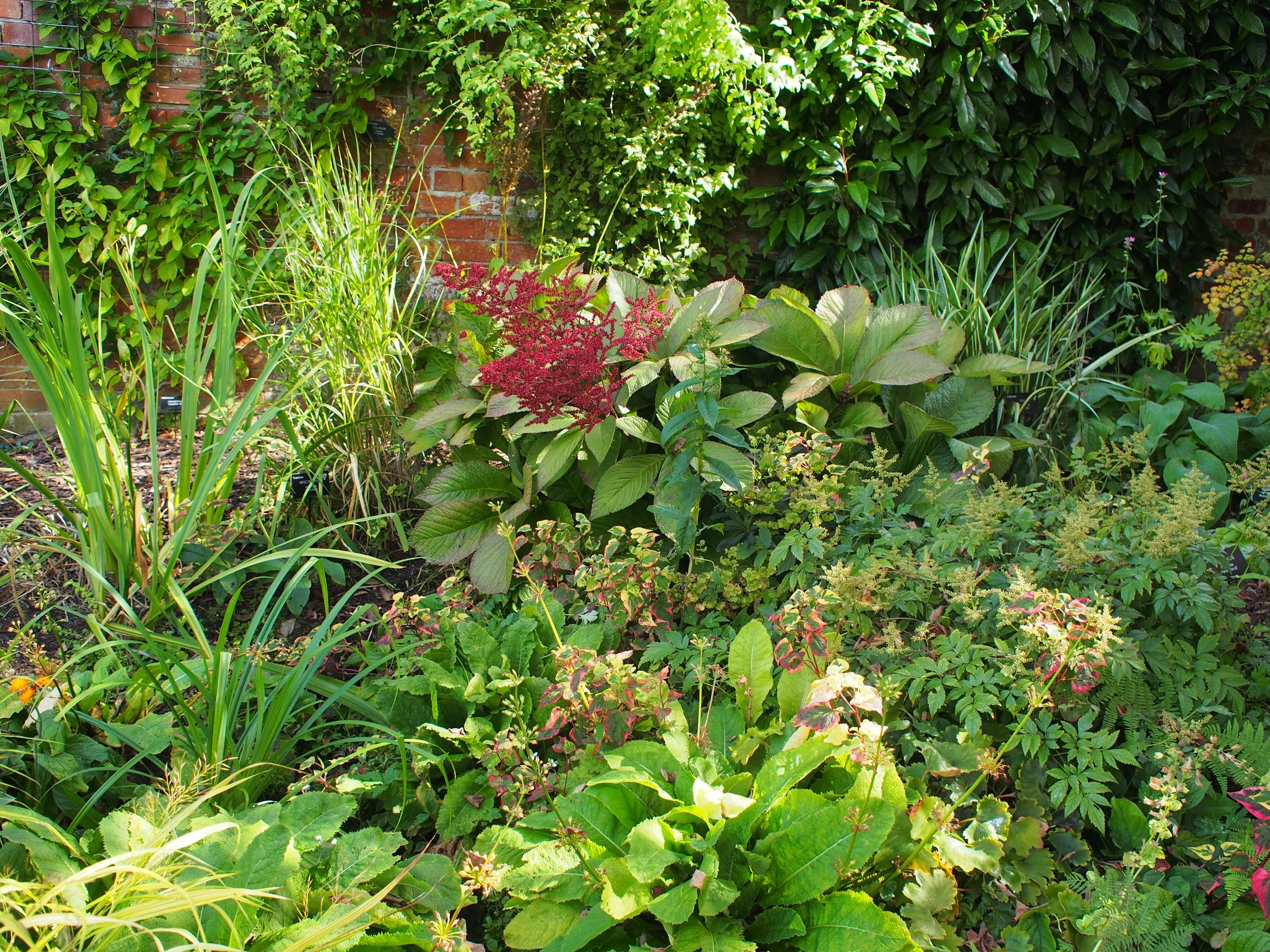P9180015.JPG