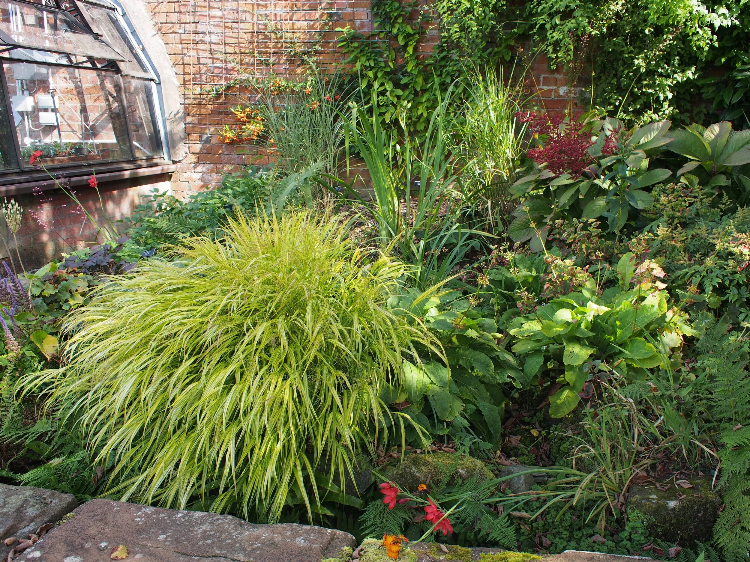 P9180016.JPG