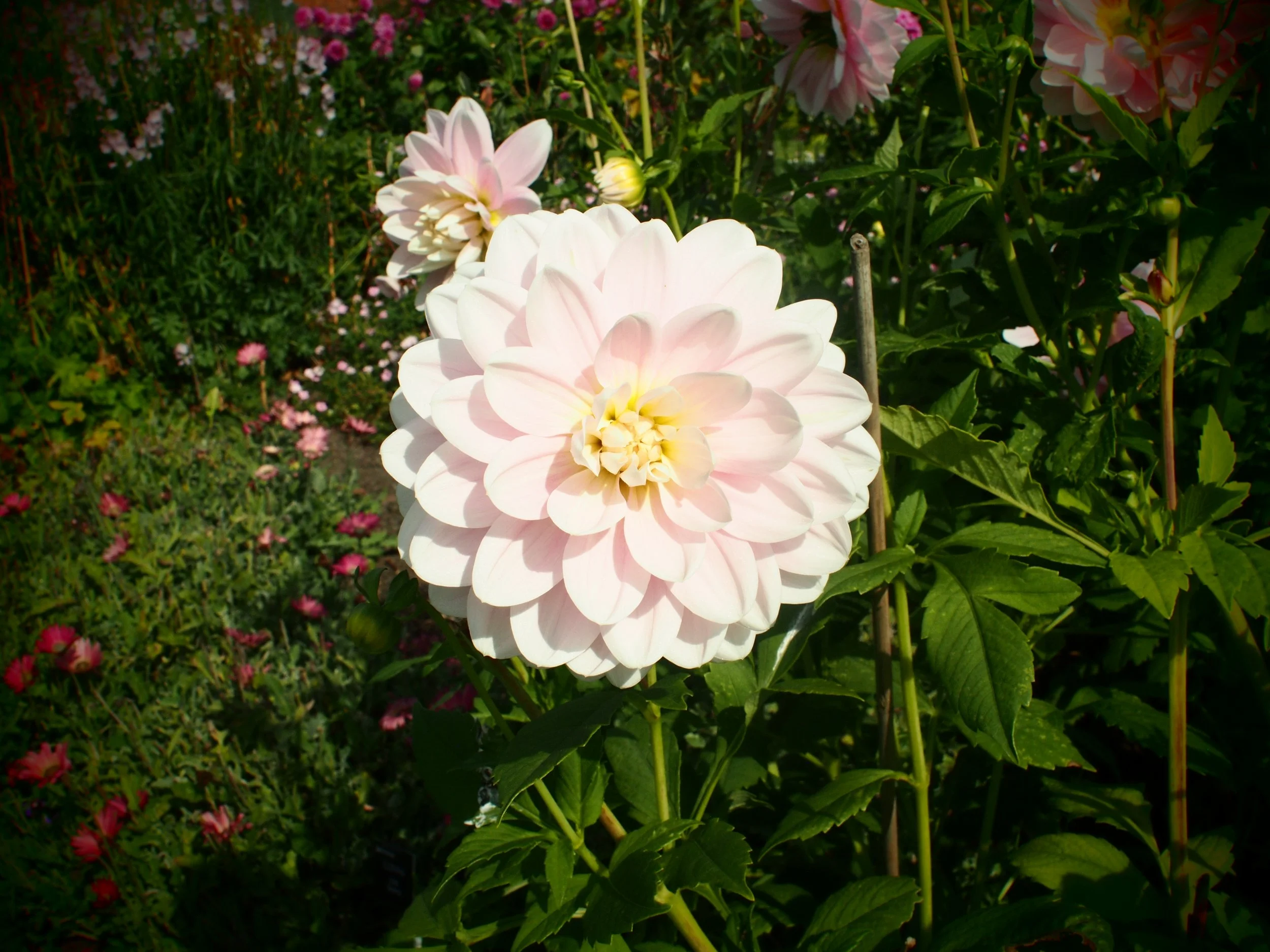 P9180057.JPG