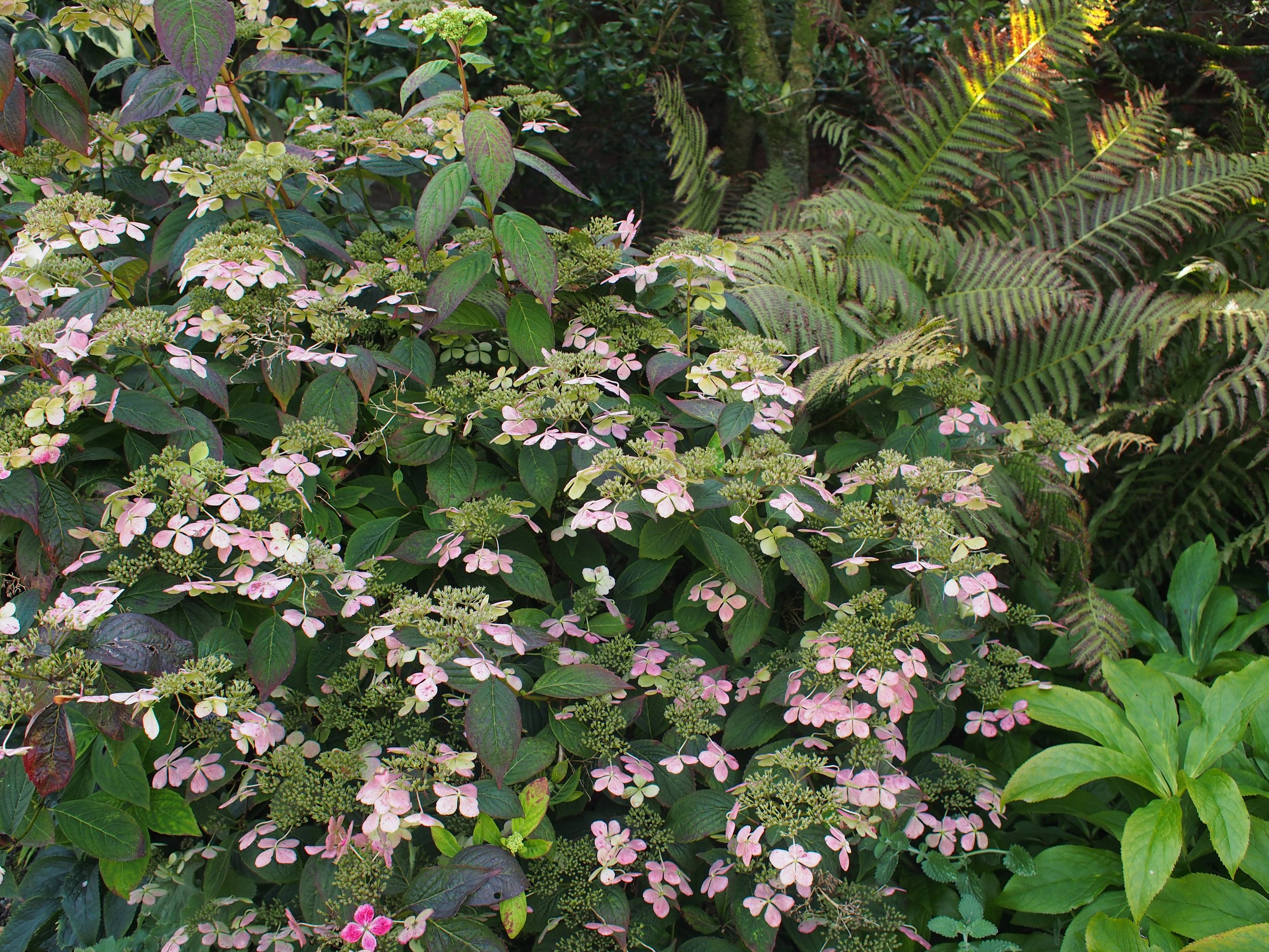 P9180080.JPG