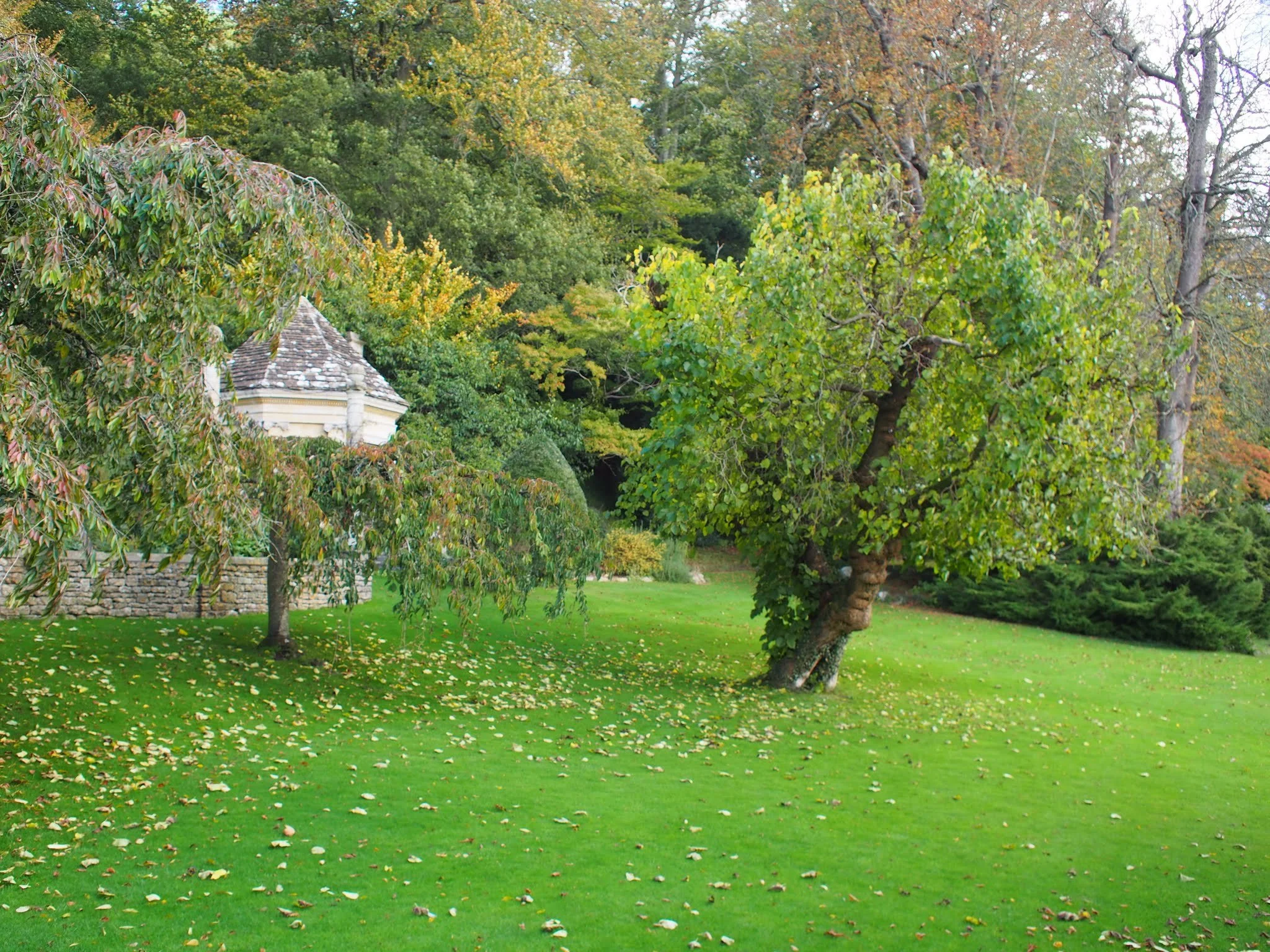 PA190201.JPG